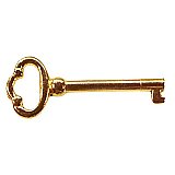 Polished Brass Cabinet Key