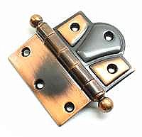 Specialty Hinges