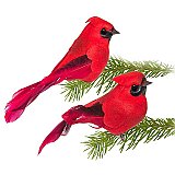 Small Red Cardinal Clip