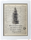 Repurposed Antique Dictionary Page Wall Decor - Pine Tree - Virginia Woolf - Melancholy