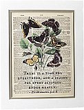 Repurposed Antique Dictionary Page Wall Decor - Butterflies - Ecclesiastes - A Time For Everything