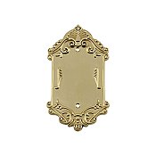 Solid Brass Victorian Switchplate - Polished Brass - Single Blank