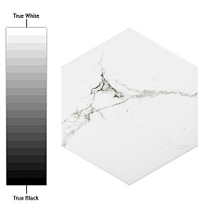 Timeless Calacatta Hex 8-5/8" x 9-7/8" Porcelain Tile - Per Case of 25 - 11.56 Square Feet