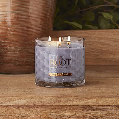 Root Candles English Lavender 3-Wick Honeycomb Candle