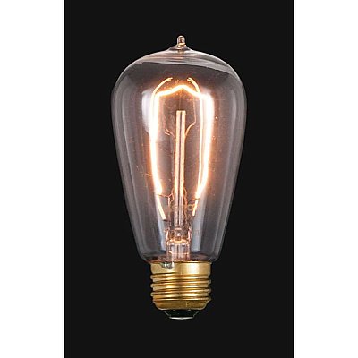 Antique Edison Light Bulb 40 Watt