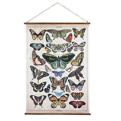 Butterfly Wall Scroll Print