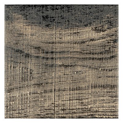 Sabina Timber Brown 9-7/8" x 9-7/8" Porcelain Floor & Wall Tile - 16 Tiles Per Case - 11.2 Sq. Ft.
