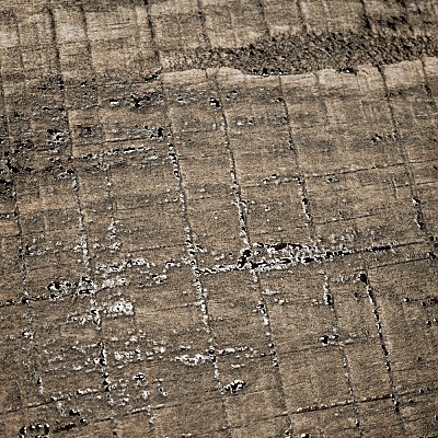 Sabina Timber Brown 9-7/8" x 9-7/8" Porcelain Floor & Wall Tile - 16 Tiles Per Case - 11.2 Sq. Ft.