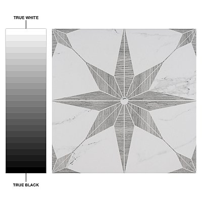 Llama Stella Loire Silver Smoke 9-3/4" x 9-3/4" Porcelain Floor & Wall Tile - Per Case of 16 - 10.88 Sq. Ft.