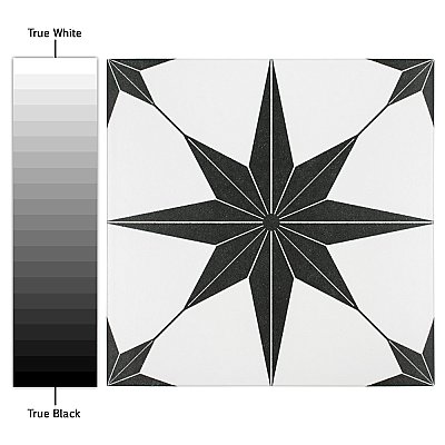 Stella Nero Black and White 9-3/4" x 9-3/4" Ceramic Tile - Sold Per Case of 16 - 11.11 Square Feet Per Case
