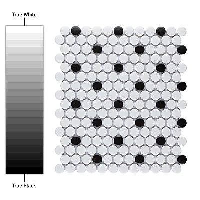 Metro Penny Matte 9-3/4" x 11-1/2" White with Black Dot Porcelain  Mosaic Tile - Sold Per Case of 10 - 7.97 Square Feet
