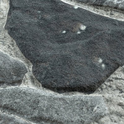 Rambla Grafito 14-5/8" x 22-3/4" Porcelain Floor & Wall Tile - 6 Tiles Per Case - 14.04 Sq. Ft.