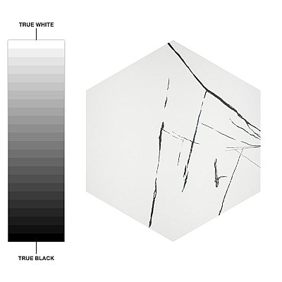 Visium Grand Hex White 17-1/8" x 19-3/4" Porcelain Floor & Wall Tile - 8 Tiles Per Case - 14.32 Sq. Ft.