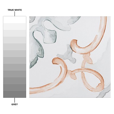 Saint Germain Chaud Deco Jules 5-3/4" x 5-3/4" Porcelain Floor & Wall Tile - 10.46 Sq. Ft - 44 Tiles Per Case