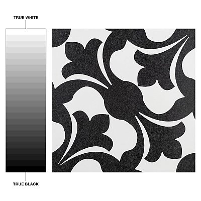 Emotion Nero 7-3/4" x 7-3/4" Ceramic Floor & Wall Tile - 25 Tiles Per Case - 11.0 Sq. Ft.