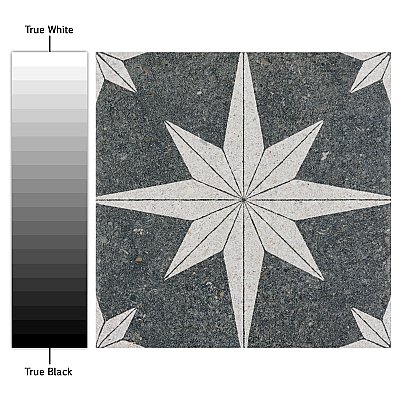 Compass Star Lava Stone 8" x 8" Porcelain Tile - Per Case of 25 Tile - 11.50 Sq. Ft. Per Case