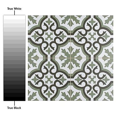 Berkeley Essence Eden 17-3/4" x 17-3/4" Ceramic Tile - Per Case of 6 - 13.32 Square Feet