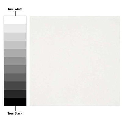 Revival White 7-3/4" x 7-3/4" Ceramic Tile - White - Per Case of 25 - Per Case of 25 Tile - 10.50 Square Feet