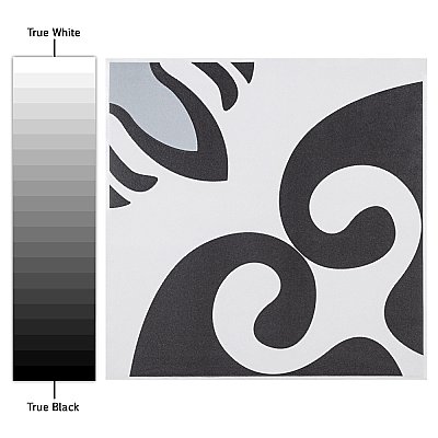 Tierra White 7-3/4" x 7-3/4" Ceramic Floor & Wall Tile - 25 Tiles Per Case - 11.0 Sq. Ft.