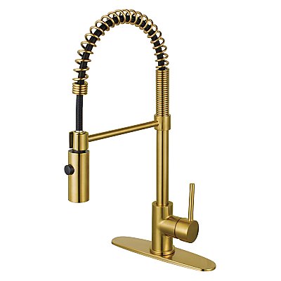 Gourmetier LS8773DL Concord Single-Handle Pre-Rinse Kitchen Faucet, Brushed Brass