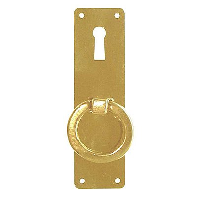 Polished Brass Ring Door Pull