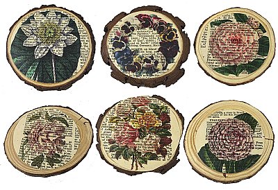 Repurposed Antique Dictionary Page Drink Coasters Set of 6 - Tree Branch Cuts - Florals Theme