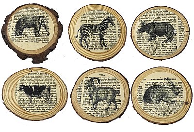 Repurposed Antique Dictionary Page Drink Coasters Set of 6 - Tree Branch Cuts - Animals Theme