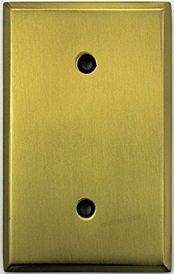 Antique Brass Single Blank Forged Switchplate