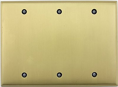 Antique Brass Forged Triple Blank Switchplate