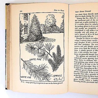 How to Plant Your Home Ground, Trees, Shrubs, Gound Covers, Annuals, Bulbs etc. by Henry Aul