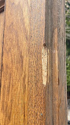 Antique 35-15/16" x 87-7/8" Oak Pocket or Sliding Door - Circa 1880