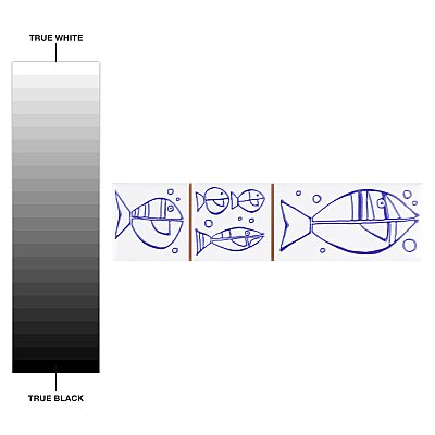 Captain Aquatico White 2" x 7-7/8" Ceramic Wall Trim Tile - Sold by the individual piece