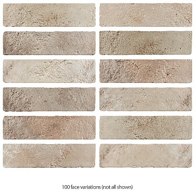 Arches Brick Cotto 2-1/2" x 9-7/8" Ceramic Wall Tile - 32 Tiles Per Case - 5.76 Square Feet