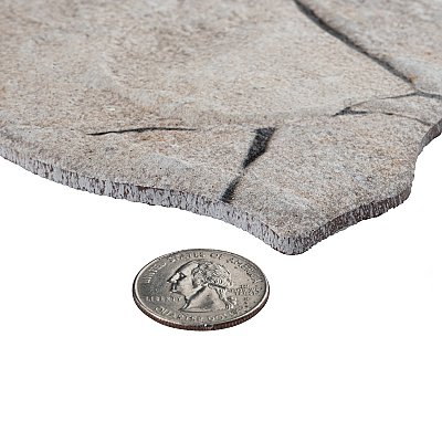 Andorra Marfil 10-3/8" x 18-3/4" Ceramic Wall Tile - 8 Tiles Per Case - 10.88 Sq. Ft.