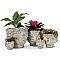Medium Kissing Face Concrete Planter