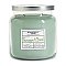 Stonewall Home Tarragon & Basil Medium Apothecary Jar Double Wick Candle - 13.75 oz.