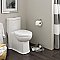 American Standard Boulevard® One-Piece Dual Flush 1.6 gpf/6.0 Lpf and 1.1 gpf/4.2 Lpf Chair Height Elongated Toilet With Seat