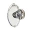 Nostalgic Warehouse Oval Clear Crystal 1-3/4" Cabinet Knob in Polished Nickel