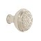 Nostalgic Warehouse Egg And Dart Brass 1-3/8" Cabinet Knob in Polished Nickel