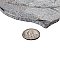 Andorra Gris 10-3/8" x 18-3/4" Ceramic Wall Tile - 8 Tiles Per Case - 10.88 Sq. Ft.