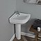 Petite 2 Vitreous China 22-1/4" x 15-3/4" Corner Pedestal Sink