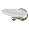 Metropolitan Collection Porcelain and Metal Wall Mounted Toothbrush & Tumbler Holder - Satin Nickel