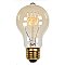 Incandescent Light Bulb: 60 Watt A Shape Timeless Vintage Inspired Light Bulb