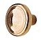 Small Roswell Bronze Cabinet Knob