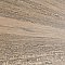 Komi Murlen Miel 7-7/8" x 7-7/8" Porcelain Floor & Wall Tile - 25 Tiles Per Case - 11.25 Sq. Ft.