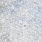 Emotion Hex Grey 9-7/8" x 11-1/4" Porcelain Floor & Wall Tile - 17 Tiles Per Case - 10.03 Sq. Ft.