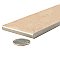 Aspdin Brick Cotto 2-3/8" x 9-3/4" Porcelain Floor and Wall Tile - 34 Tiles Per Case - 5.78 Square Feet