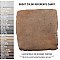 Benisa Cotto 5-7/8" x 5-7/8" Porcelain Floor/Wall Tile - 36 Tiles Per Case - 9.36 Square Feet
