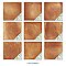 Sentier des Ocres Deco Green 7-7/8" x 7-7/8" Porcelain Floor and Wall Tile - 16 Tiles Per Case - 7.2 Square Feet