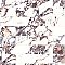 Touche Rubis 2-7/8" x 11-3/4" Porcelain Floor and Wall Tile - 48 Tiles Per Case - 11.52 Square Feet